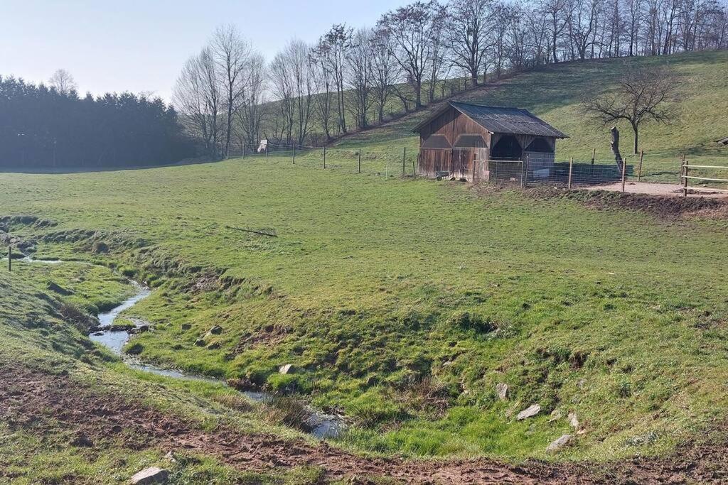 Grosse Tolle 4 Zimmer Ferienwohnung Im Herzen Des Odenwaldes Moerlenbach Exterior photo