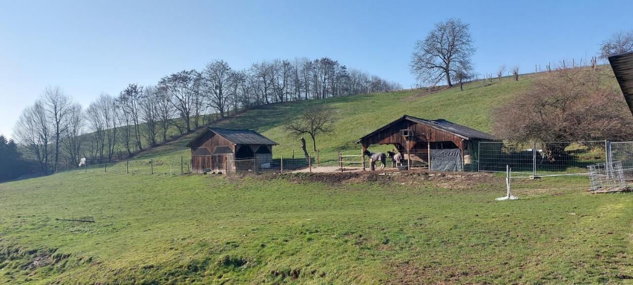 Grosse Tolle 4 Zimmer Ferienwohnung Im Herzen Des Odenwaldes Moerlenbach Exterior photo